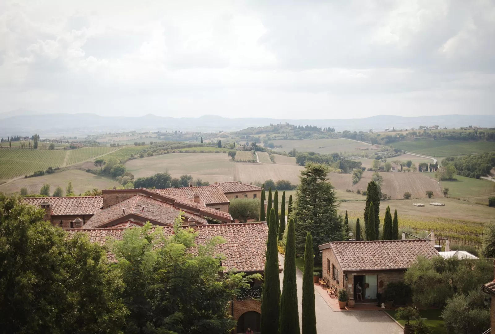 Tall cypress trees line the vineyard landscape at Borgo Tre Rose in Tuscany.