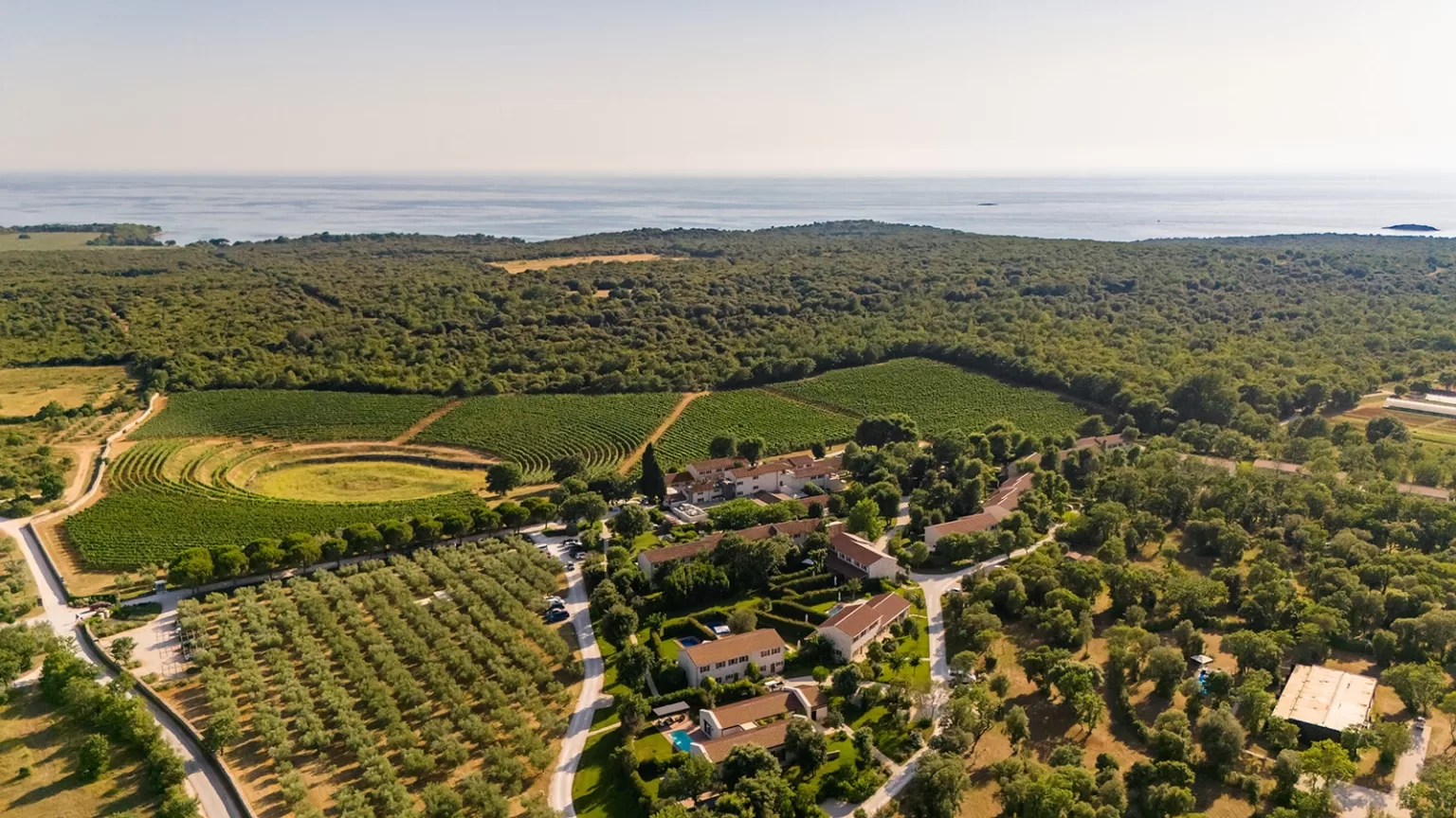 Sunlit vineyard landscape at Meneghetti Wine Hotel with modern buildings nestled in greenery and sea views beyond.