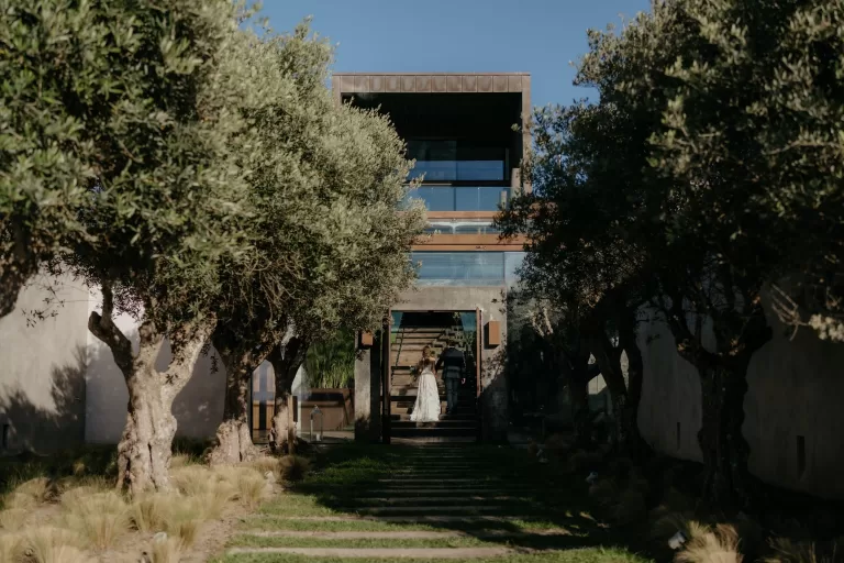 Bride and groom walking up the olive-lined pathway towards the main building at Areias do Seixo.