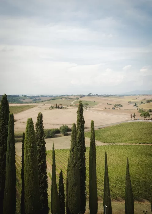 Sweeping Tuscan countryside surrounding Borgo Tre Rose with vineyards and distant hills.