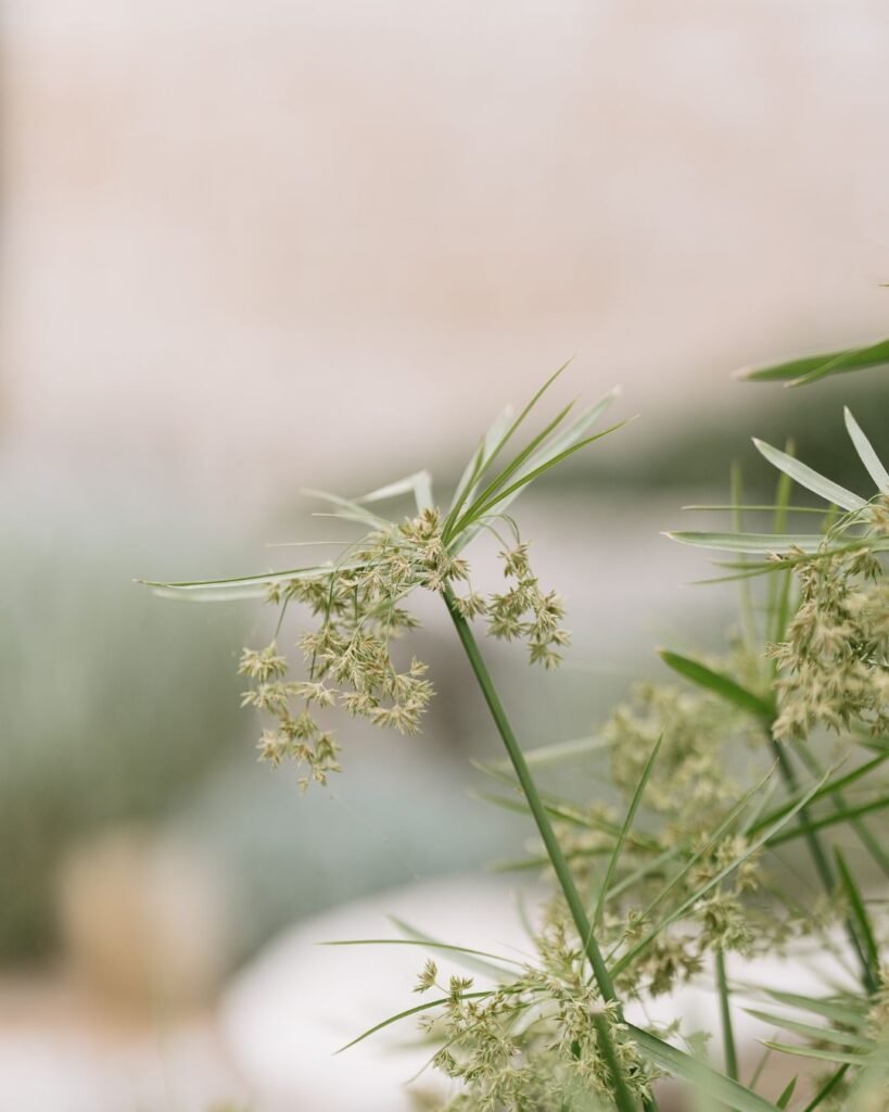 Delicate greenery detail enhancing the natural ambiance of a wedding at Finca Morneta.