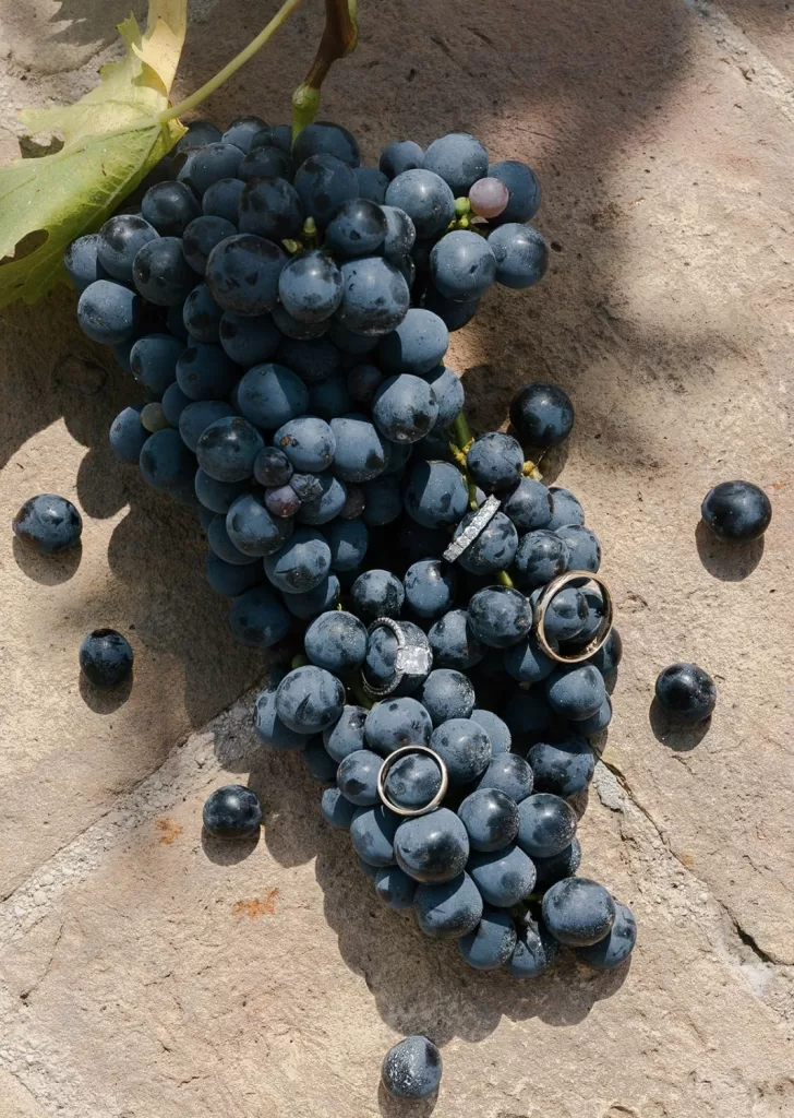 Wedding rings nestled among dark grapes on a stone surface, capturing the rustic charm of Villa Cariola.