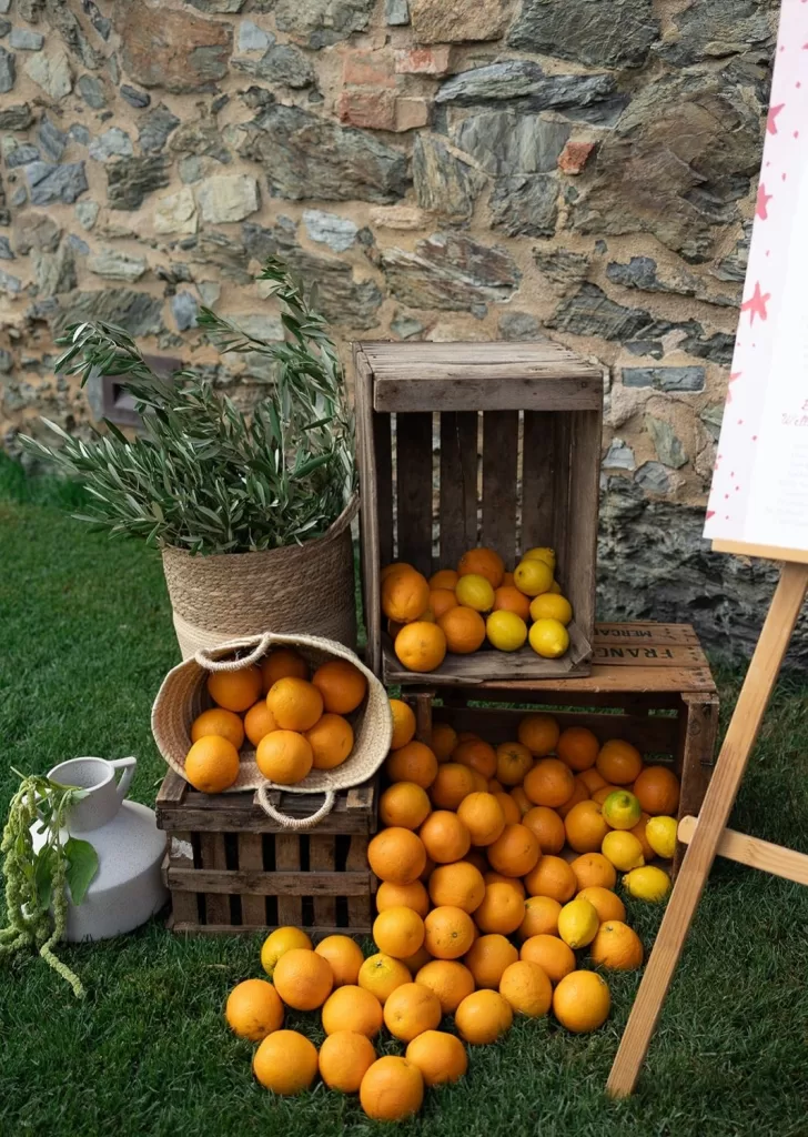 A rustic citrus fruit display with oranges, lemons, and olive branches against a stone wall at Mas Torroella.