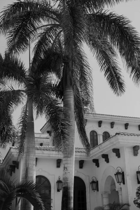 Black and white view of Villa La Joya’s palm-lined exterior and Mediterranean-style architecture.