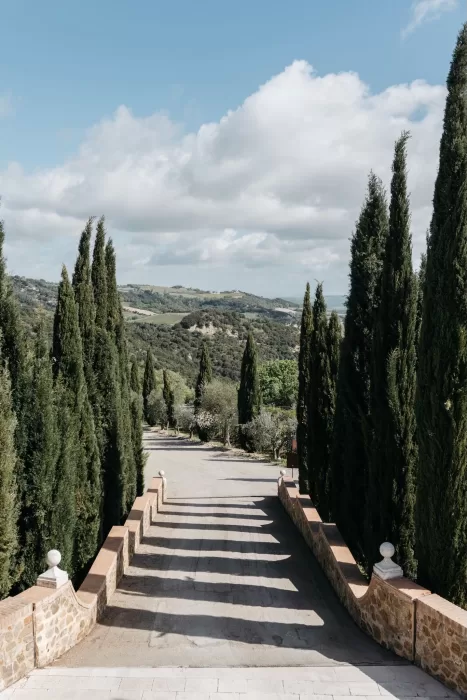 Grand cypress-lined driveway at Castello di Velona leading into the Tuscan countryside.