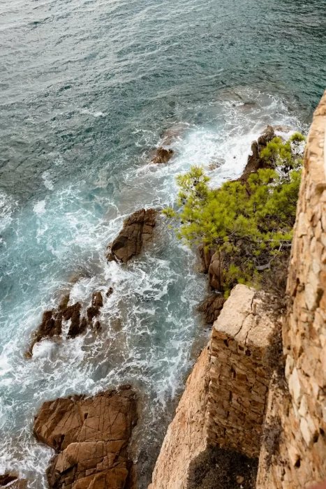 View of turquoise waves breaking against the rocky cliffs below Marimurtra Botanical Garden.
