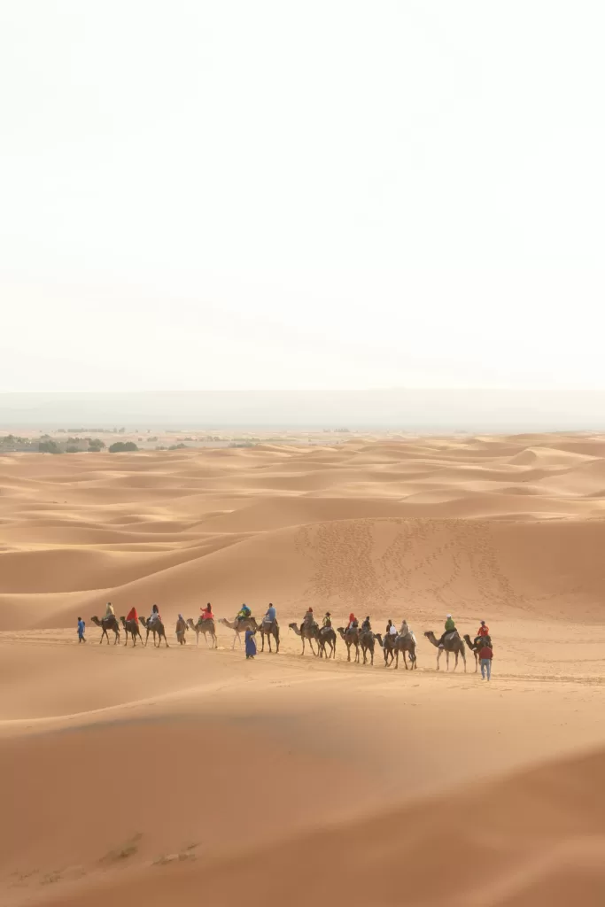 wedding-in-morocco