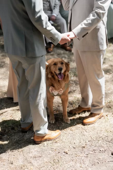 The couple’s golden retriever in a bow tie standing between the grooms during their outdoor ceremony at Château de Pordor.