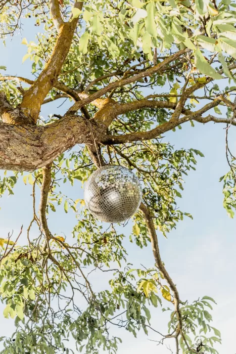A shimmering disco ball hangs from a tree branch against a blue sky at This Must Be The Place.