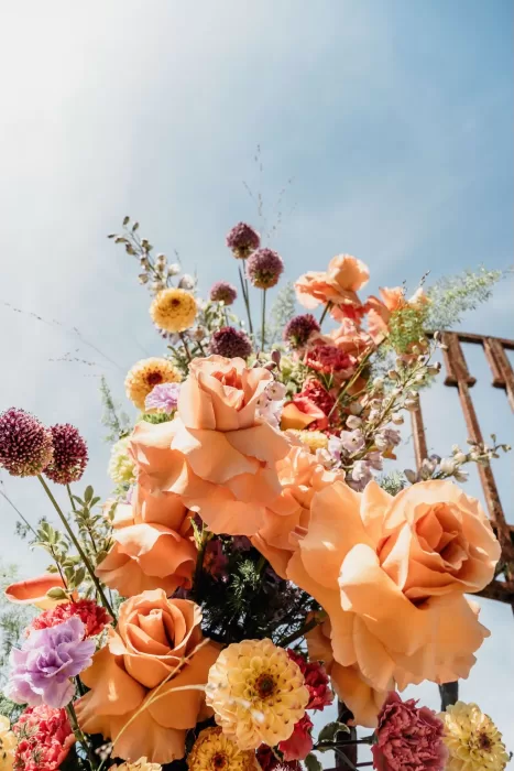 Vibrant floral arrangement of orange and purple blooms under a clear sky at This Must Be The Place.