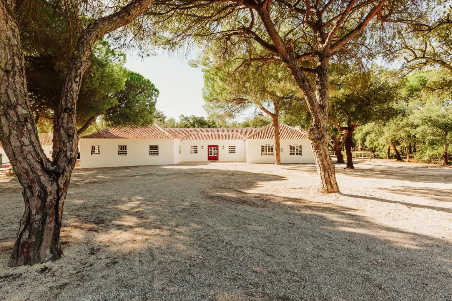 White guest house at Herdade do Peru surrounded by tall pines and dappled sunlight on sandy ground.