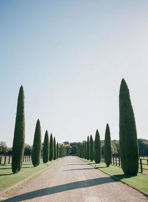 Long gravel driveway lined with tall cypress trees leading through Il Borro’s peaceful Tuscan estate.