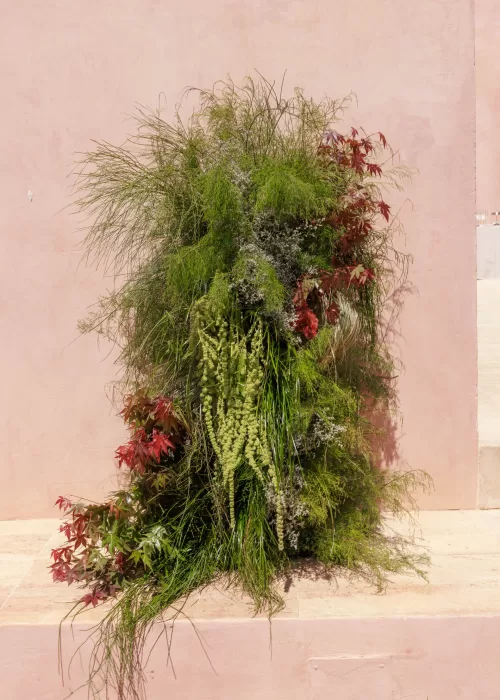 Lush greenery and red foliage cascading against the blush pink walls of Neuendorf House.