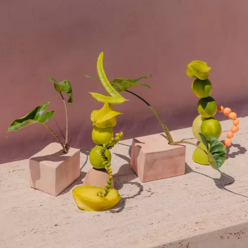 Playful fruit and leaf arrangements displayed in sculptural terracotta blocks at Neuendorf House.