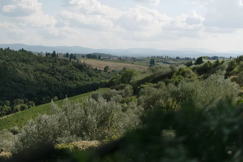 Rolling Tuscan hills and olive groves surrounding Quercia al Poggio bathed in afternoon light.