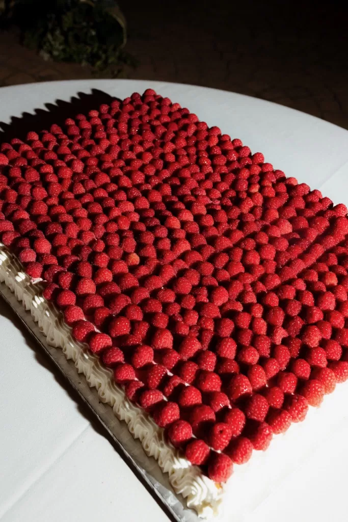 Large raspberry-covered wedding cake displayed during the reception at Mas del Sord.