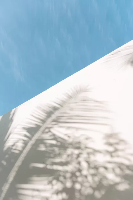 Sunlit white architecture at Baja Luna with soft palm leaf shadows creating a minimal, coastal mood.