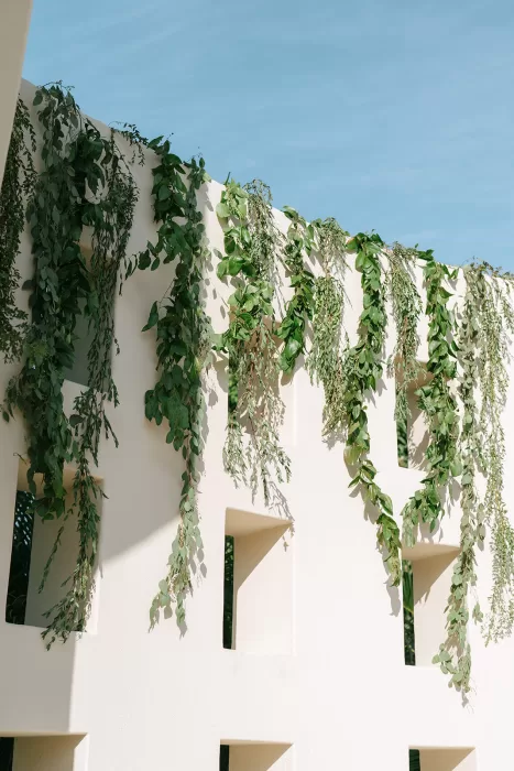 Cascading greenery draped over the white ceremony walls at Baja Luna, creating a soft and natural backdrop.