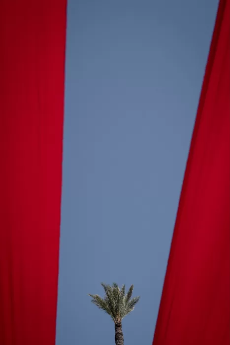 A single palm tree rising between two flowing red canopy panels at Jnane Tamsna.