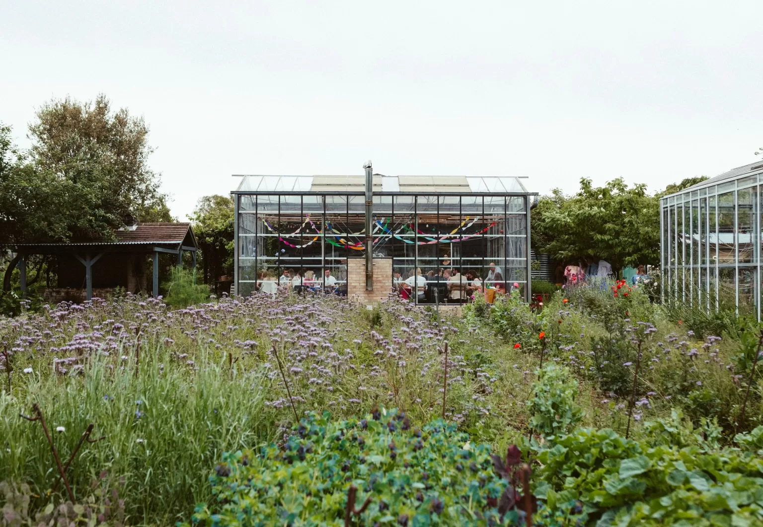 Glasshouse at Worton Kitchen Garden decorated with colourful streamers, surrounded by vibrant flower fields.