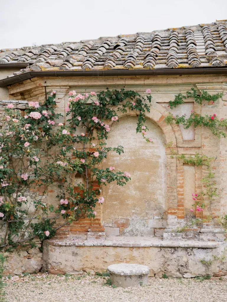 Historic stone wall with climbing pink roses in the gardens of Castello di Celsa, Tuscany.