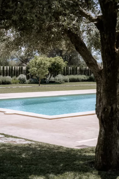 Turquoise pool at Finca Morneta viewed through olive branches, showcasing the serene garden setting.