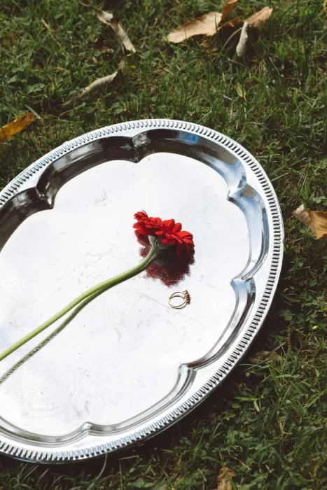 Wedding rings and red gerbera placed on silver tray on grass at Hotel Ristorante La Darsena.