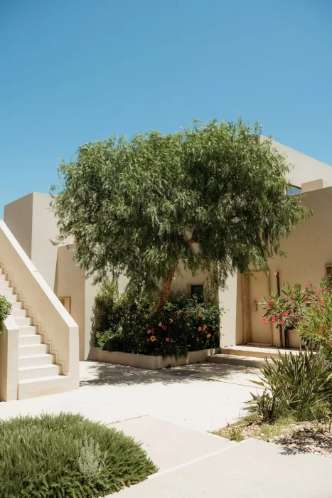 Sunlit courtyard at Milos Cove with cream staircase, flowering shrubs and Mediterranean greenery.