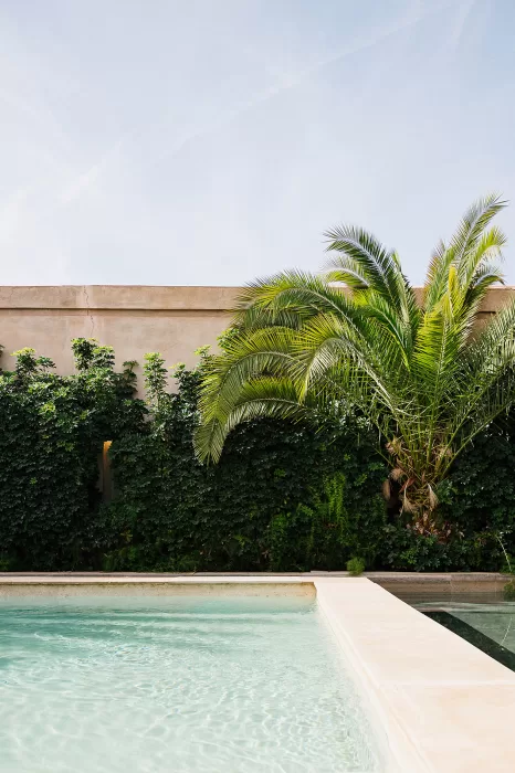 Serene pool with lush palms and greenery against warm stone walls at Palais Namaskar