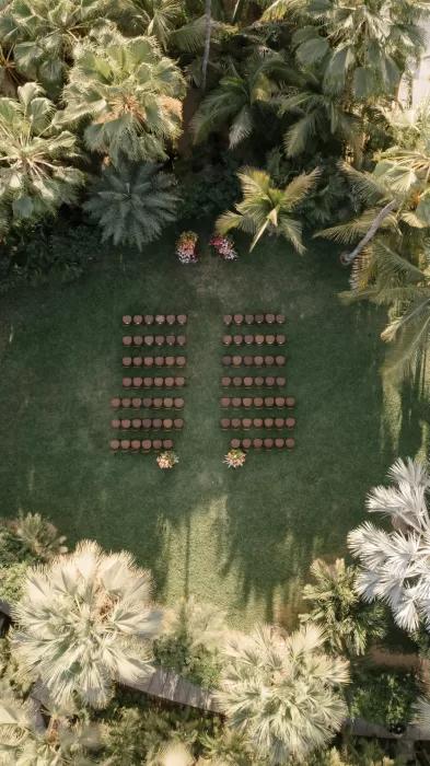 Aerial ceremony view at Acre Baja, with chairs arranged between dense palms.