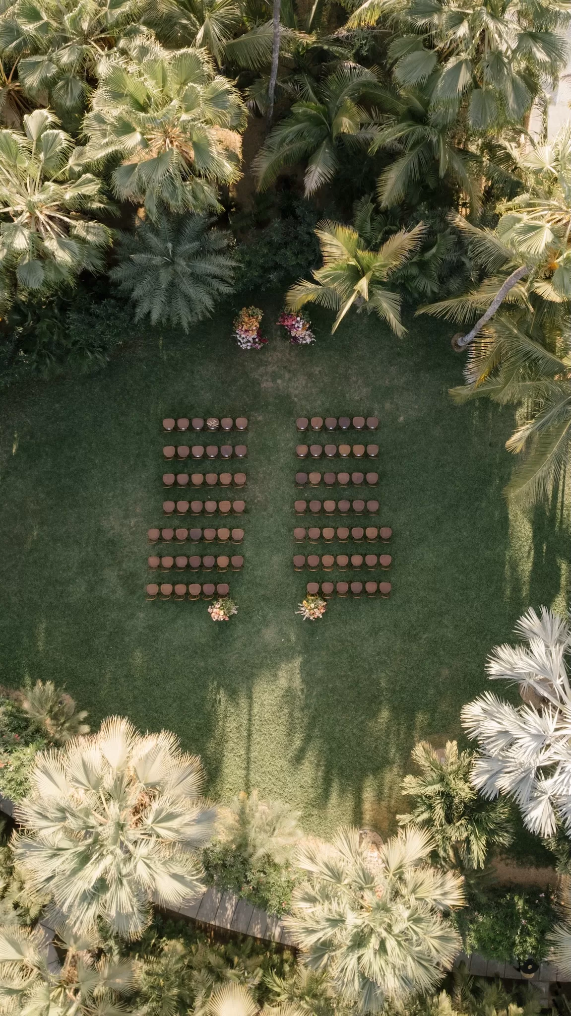 Aerial ceremony view at Acre Baja, with chairs arranged between dense palms.