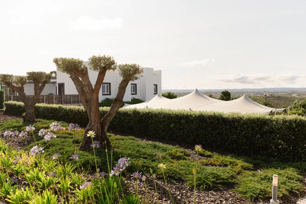 White stretch tent set among olive trees and gardens with open countryside views.
