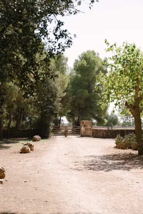 Long driveway leading to wooden gates, framed by trees and sunlit rural landscape