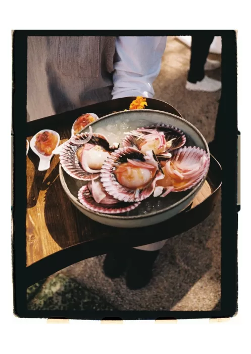 Fresh seafood served during cocktail hour, elegant presentation in warm afternoon light