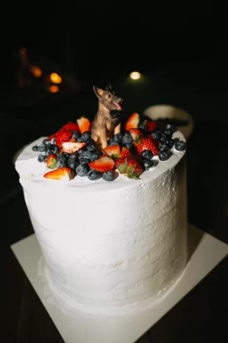 A minimalist white wedding cake topped with berries and a small dog figurine.