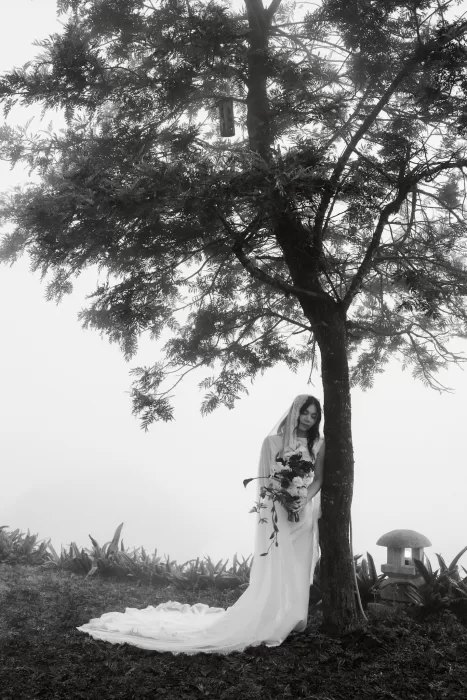 A black-and-white bridal portrait beneath a tree, with fog softening the mountain garden.