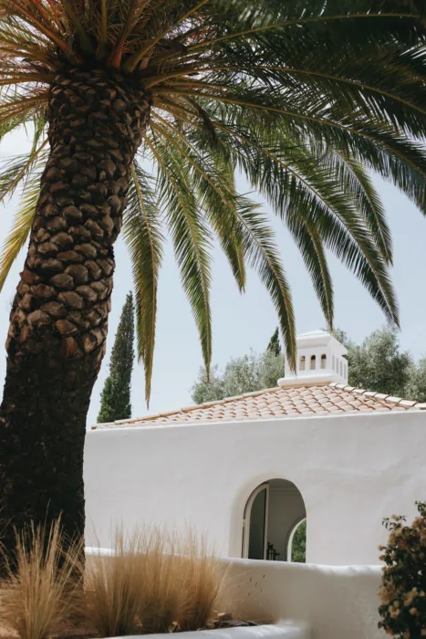 Palm fronds frame Casa Arte’s white walls, tiled roof and Mediterranean garden planting.
