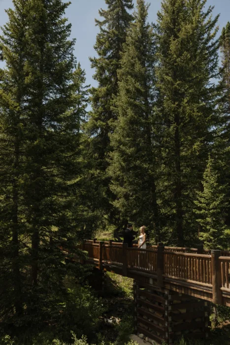 Couple shares a quiet moment on a wooden bridge beneath tall pine trees.