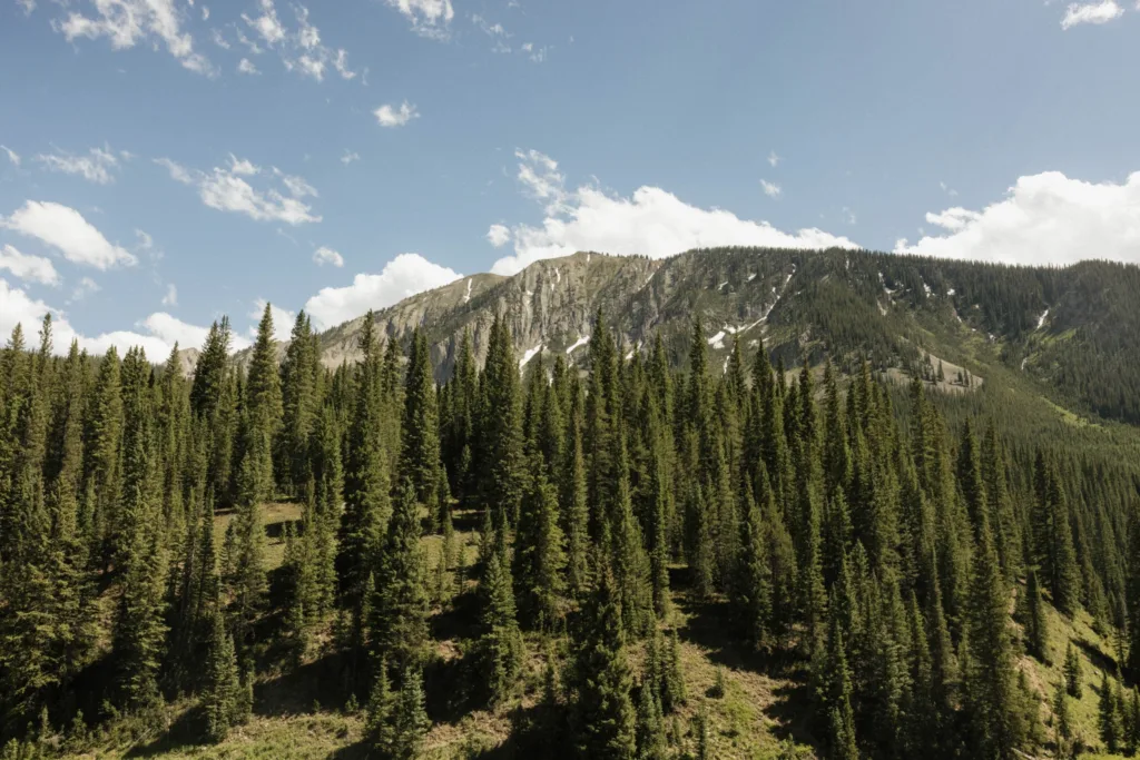 Pine-covered mountain landscape beneath a blue sky, setting the scene for the wedding