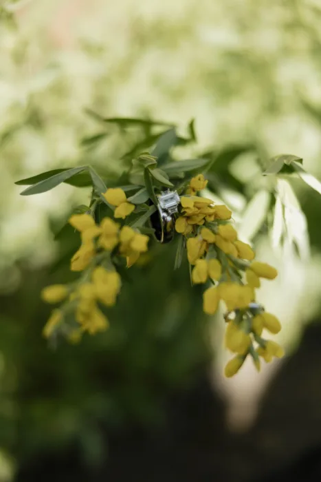 Engagement ring rests among yellow wildflowers and greenery in soft woodland light.